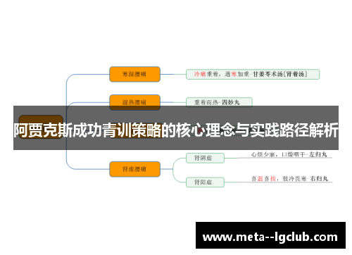 阿贾克斯成功青训策略的核心理念与实践路径解析